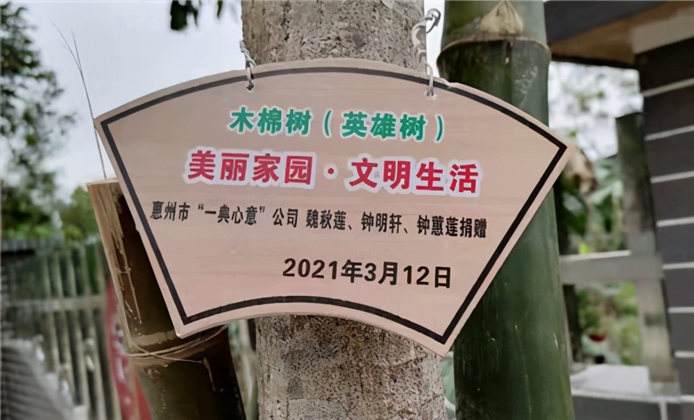 广东惠州：“红棉花开”植树公益活动
