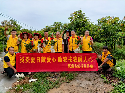 广东惠州:夏日献爱心 助农扶农暖人心 中国公益记录者在线【官网】