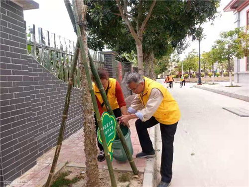 广东惠州：“红棉花开”植树公益活动